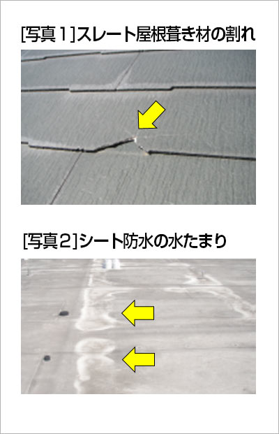 [写真１]スレート屋根葺き材の割れ[写真２]シート防水の水たまり